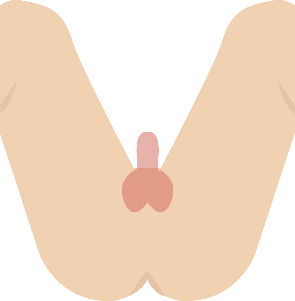 竿
