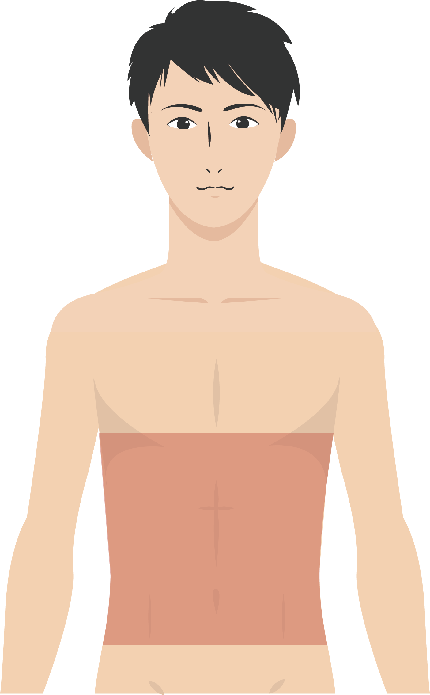 腹